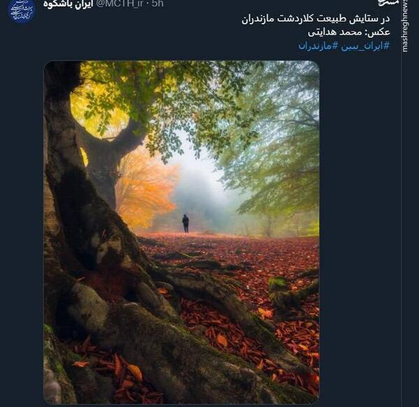 عکس محمد هدایتی