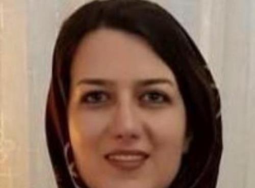 عکس محمد هدایتی