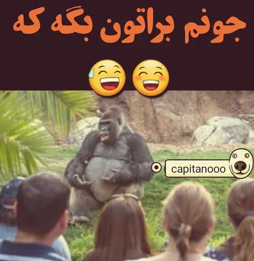 عکس نوشته صبحتان شاد