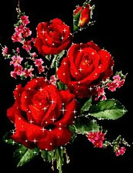 عکس نوشته صبحتان شاد
