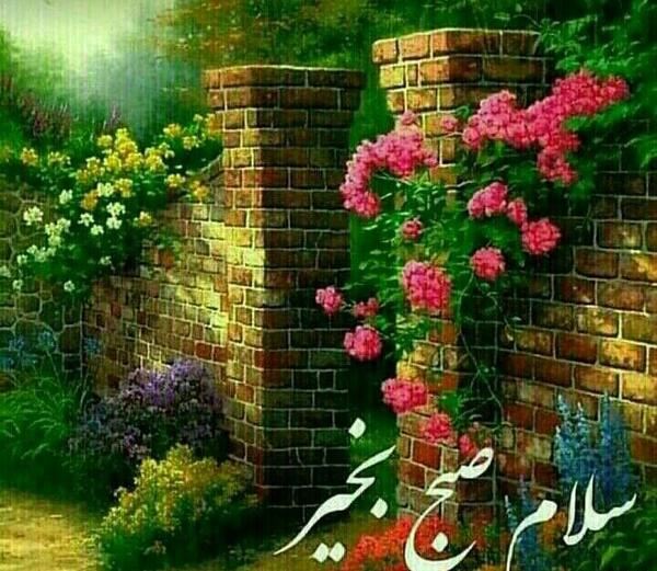 عکس نوشته صبحتان شاد