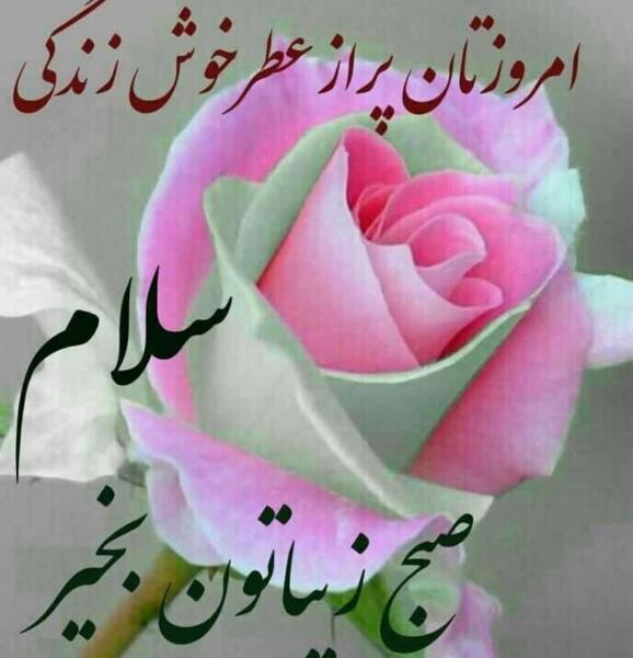 عکس نوشته صبحتان شاد