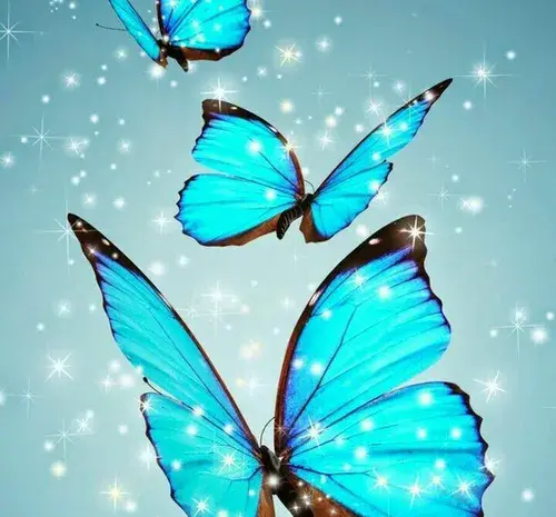 عکس نوشته صبحتان شاد