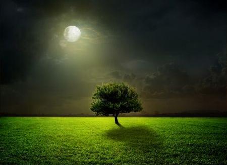 عکس منظره در شب