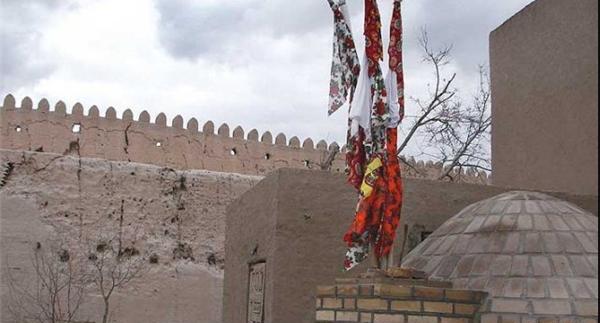 عکسی از پوریای ولی