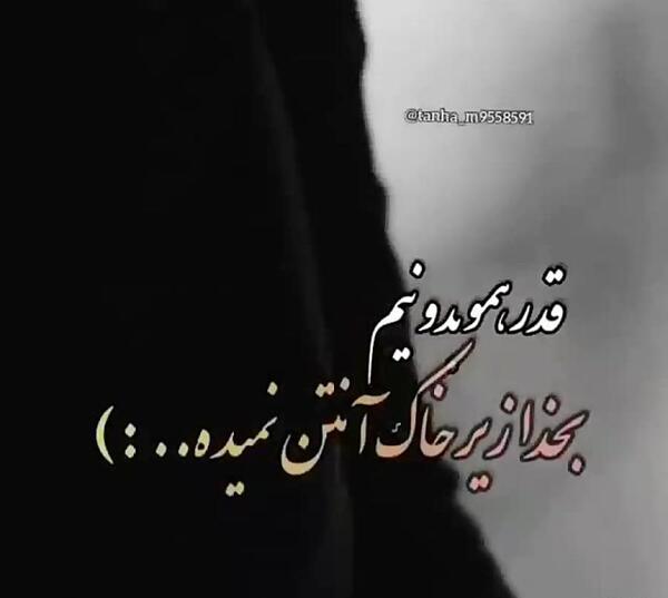عکس استوری واتساپ قدر همو بدونیم