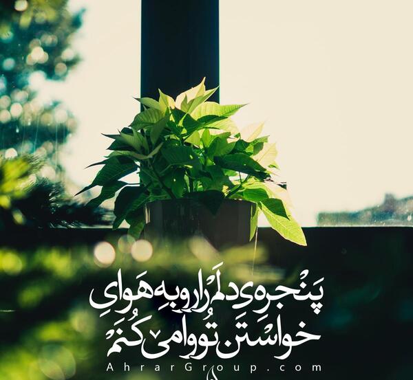 عکس صبح بخیر لاتی