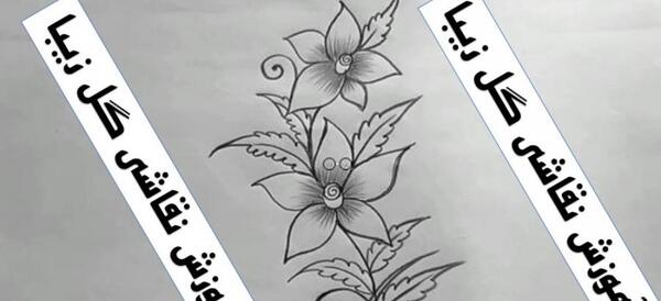 عکس نقاشی گل یاس ساده