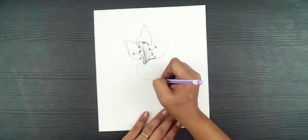 عکس نقاشی گل یاس ساده