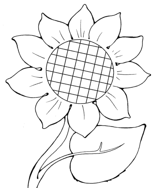 عکس نقاشی گل یاس ساده