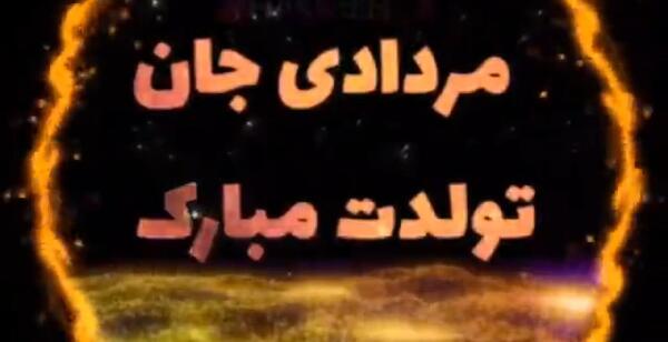 عکس مرغ عشق های رنگارنگ