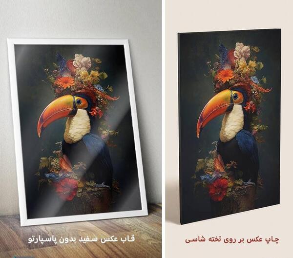 عکس طوطی طلایی