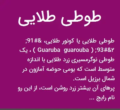 عکس طوطی طلایی
