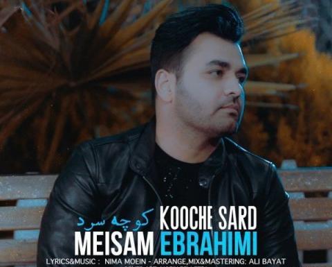 عکس حامد قدمی