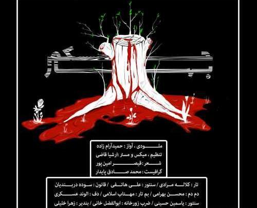 عکس حامد قدمی