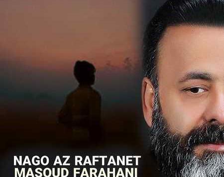 عکس حامد قدمی