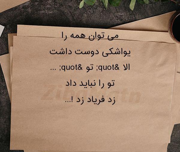 عکس نوشته نازنین کریمی