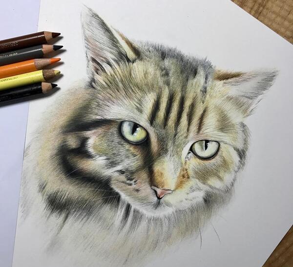 عکس نقاشی از اتاق
