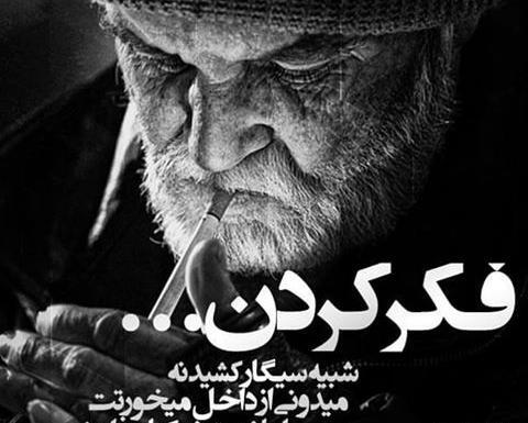 عکس شتر برای پروفایل