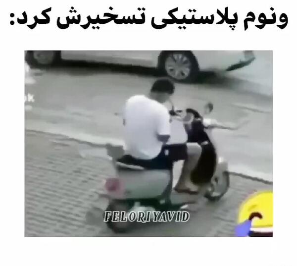 عکس میمون لاتی