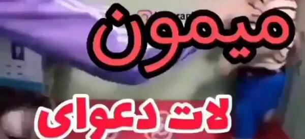 عکس میمون لاتی