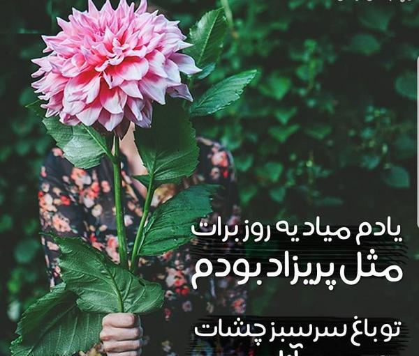 عکس نوشته آزاد بودن