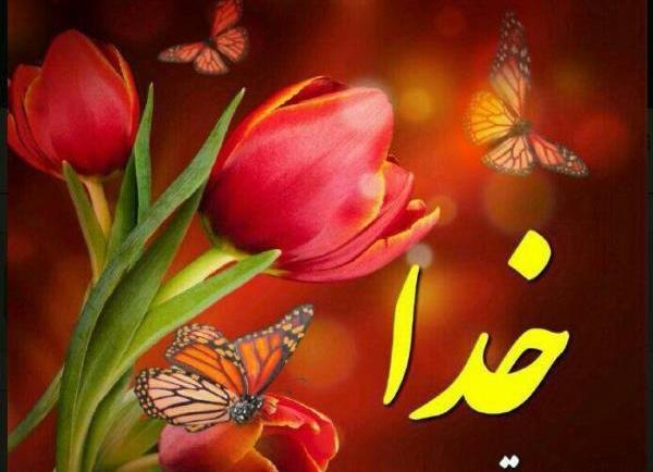 عکس قلب خدا