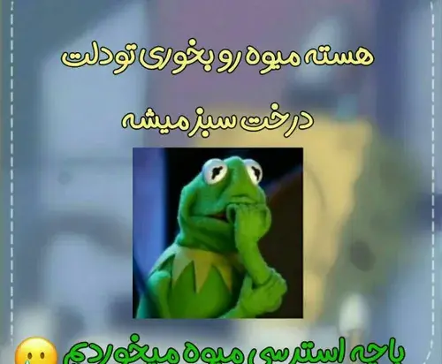 عکس عروسک قورباغه نمدی