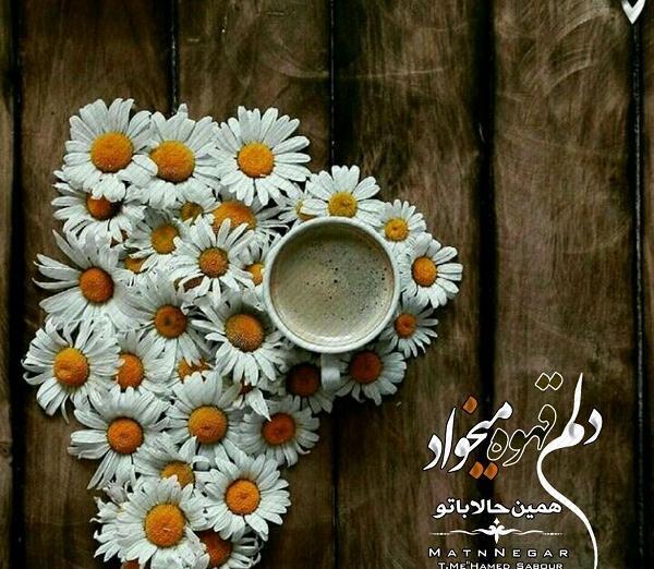 عکس نوشته قهوه و سیگار