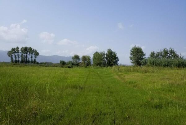عکس زمین روستایی