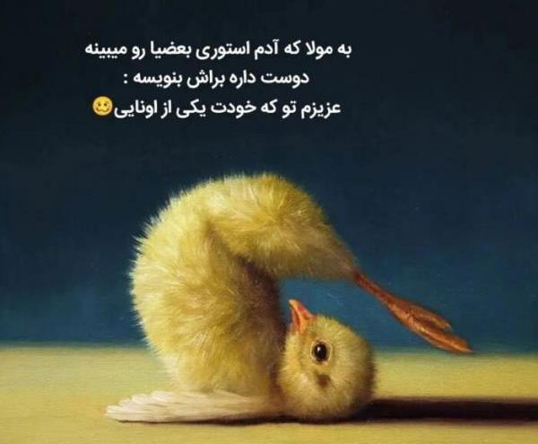 عکس نوشته طنز اکسو ویسگون
