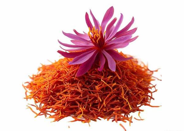 عکس نقاشی گل لاله در گلدان
