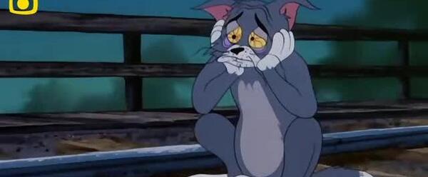 عکس غمگین تام و جری
