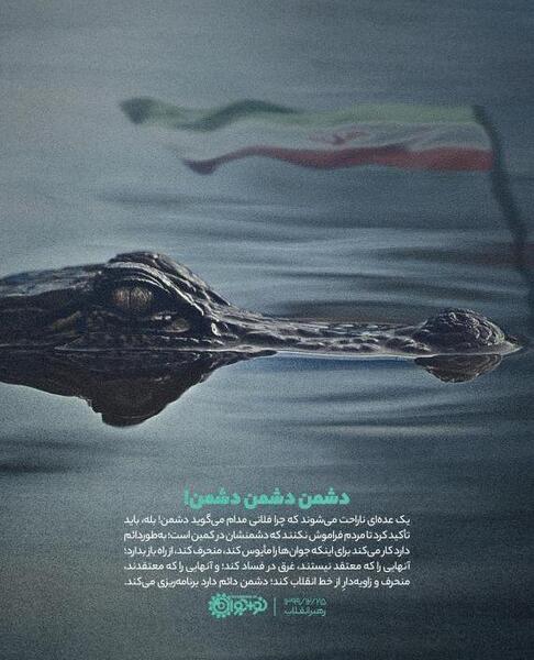عکس لاک پشت در دریا