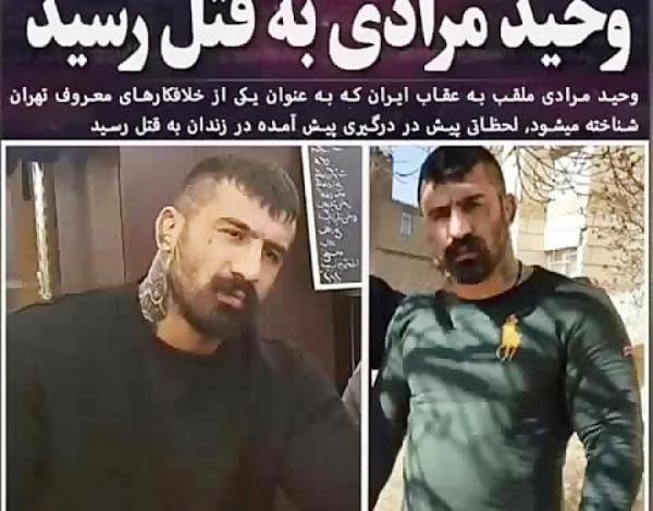 عکس وحید مرادی برای پروفایل