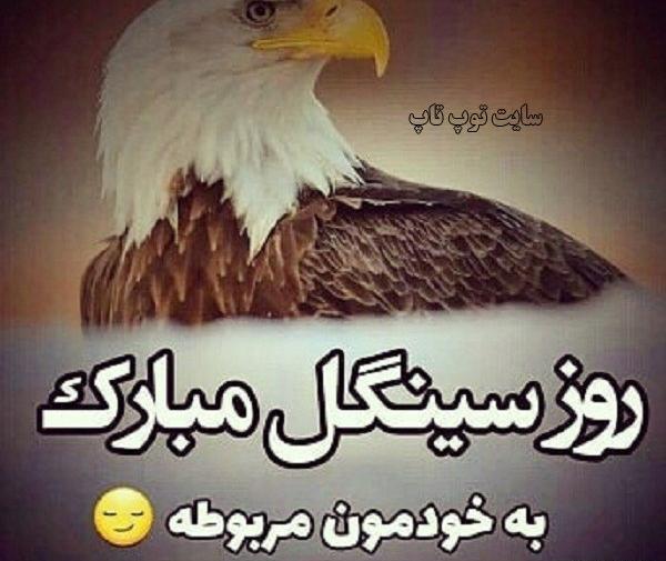 عکس برای پروفایل گروه سینگلا