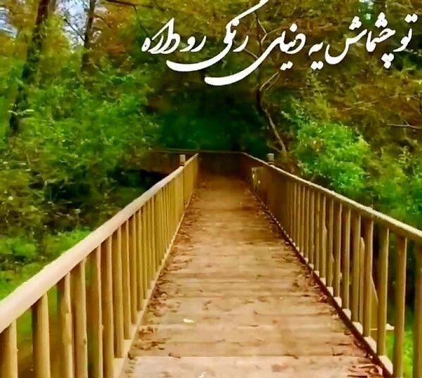 عکس پروفایل همسرم یلدات مبارک