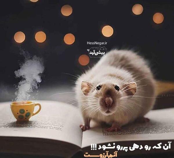 عکس آرزو تهرانی