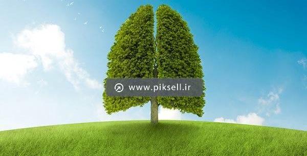 عکس ریه با درگیری کم
