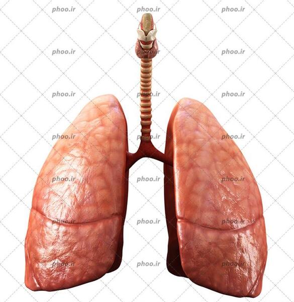 عکس ریه با درگیری کم