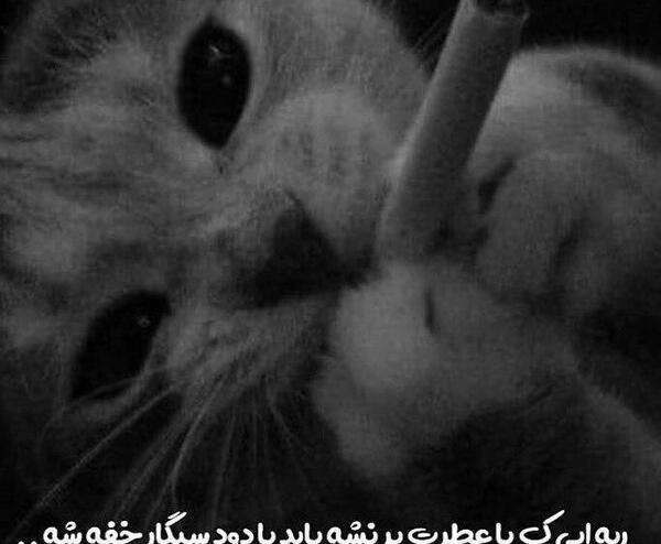 عکس ریه با درگیری کم