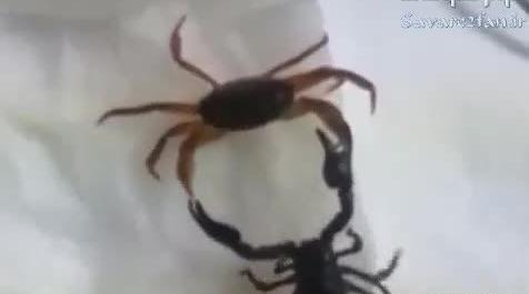 عکس ریه با درگیری کم