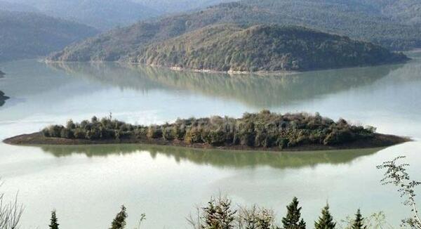 عکس طبیعت لفور