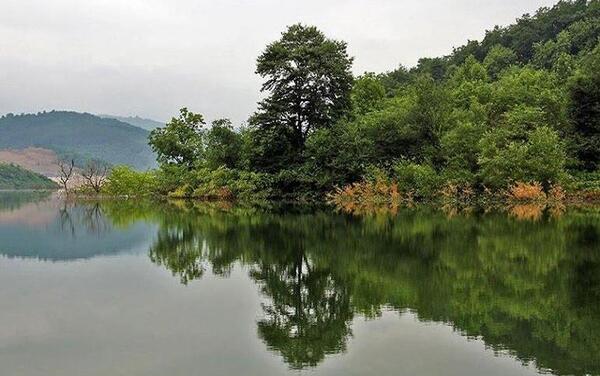 عکس طبیعت لفور