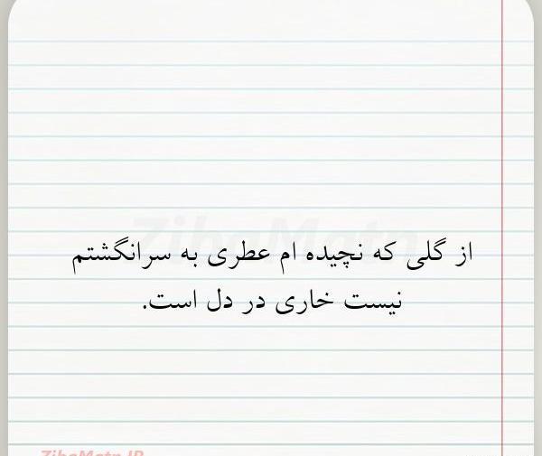عکس نوشته از گلی
