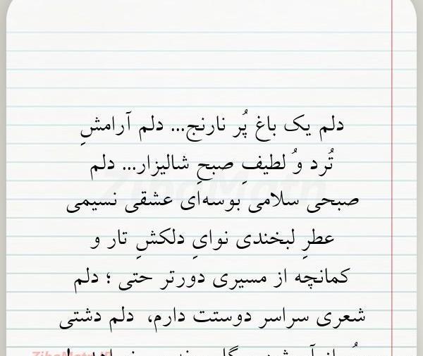 عکس نوشته از گلی