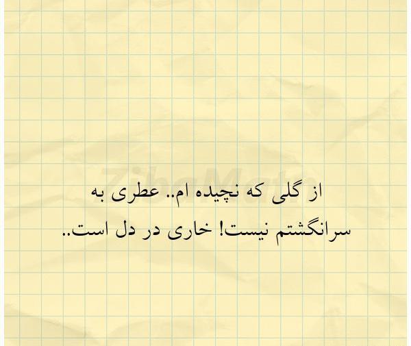 عکس نوشته از گلی