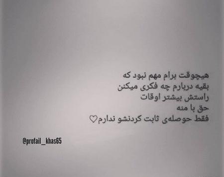 عکس دپ شاخ بدون متن