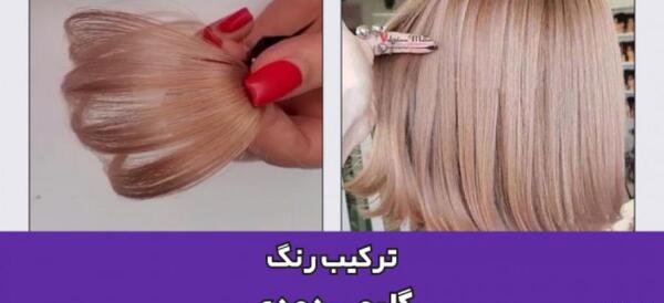 عکس رنگ مو گلبهی