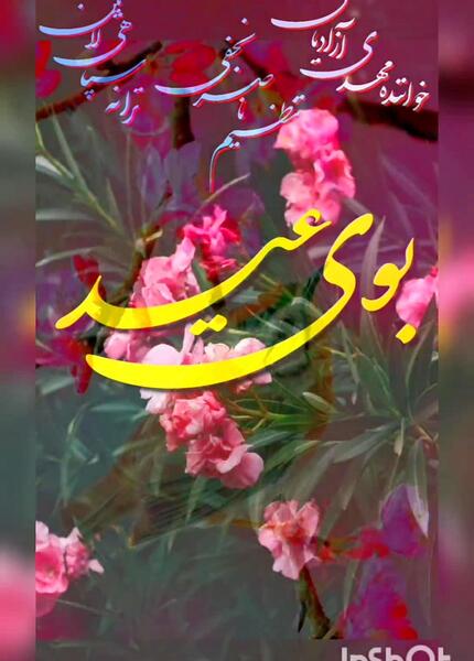 عکس اراد راد